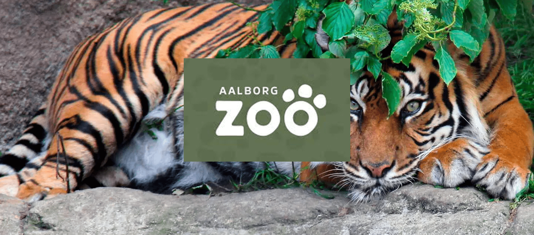 Aalborg Zoo