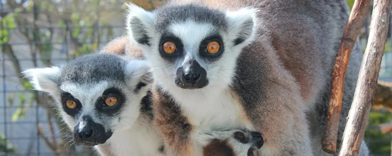 Munkholm Zoo
