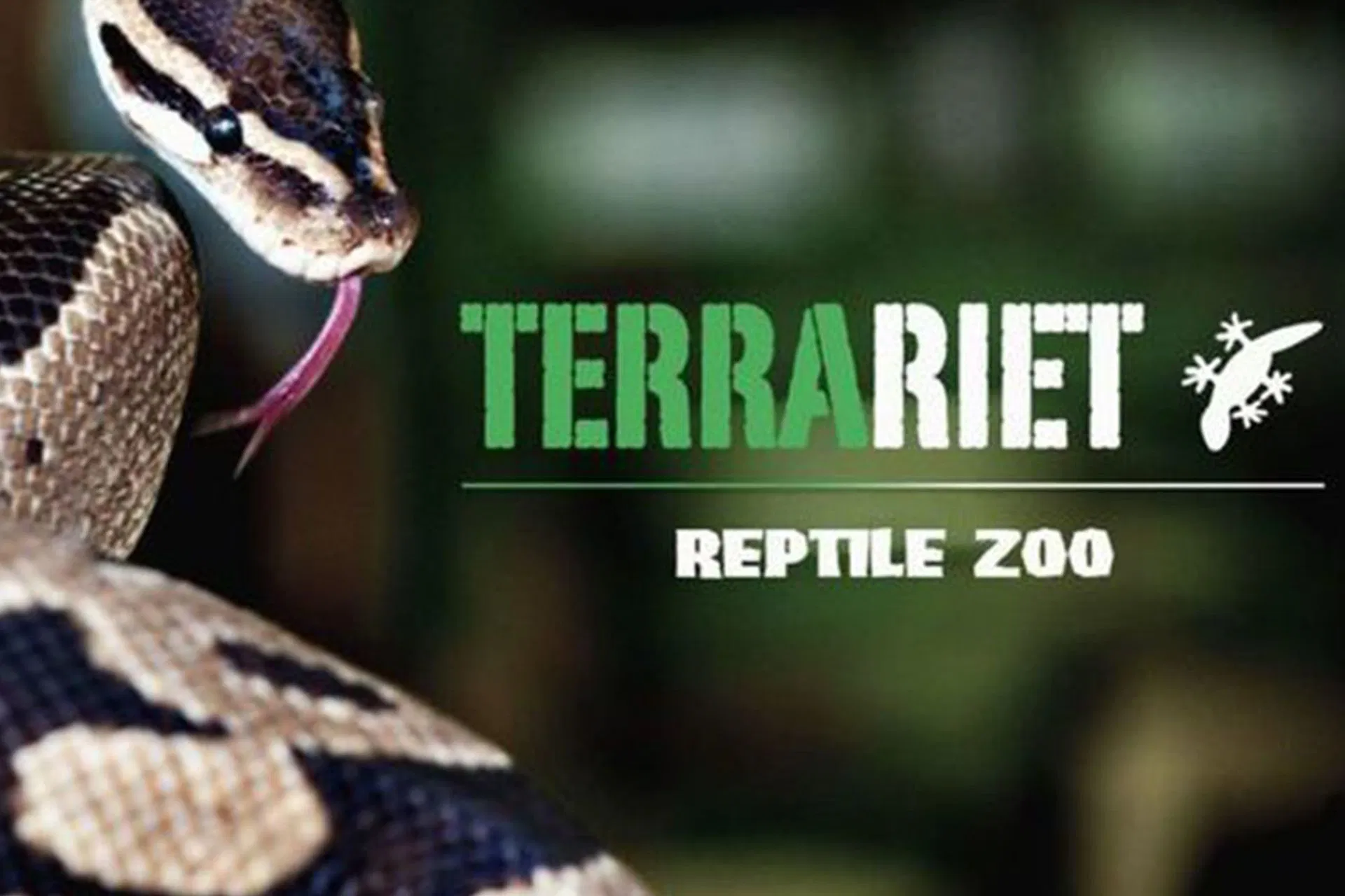 Terrariet Reptile Zoo